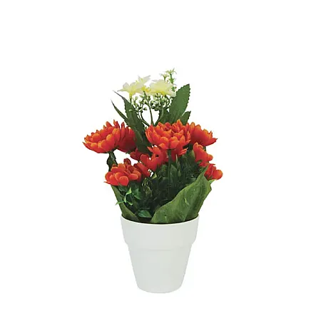 images/uploads/26326/thumb_1-05-36 ORANGE.webp